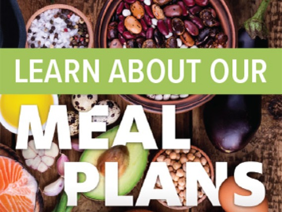 Learn about our meal plans text on top of image of nuts, berries, fruits.
